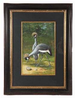 WATERCOLOUR STUDY OF CROWNED CRANES, PREPARATORY DESIGN FOR ‘THE NUGGET’ SHOE POLISH ADVERTISING