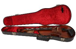 VIOLIN LABELLED DEGAN OF TURIN, 19TH CENTURY
