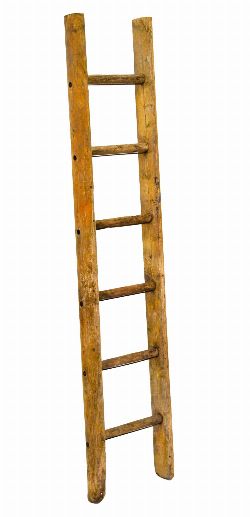 ASH ORCHARD LADDER