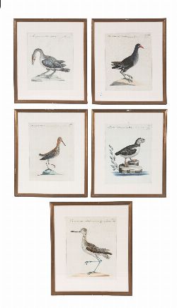 SET OF FIVE MID-18TH-CENTURY HAND-COLOURED BIRD ENGRAVINGS ON LAID PAPER