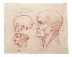 ANATOMICAL STUDY OF A MALE HEAD AND SKULL, LEONARDESQUE SCHOOL