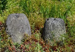PAIR OF 19TH-CENTURY TETHERING STONES