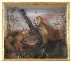  VICTORIAN TAXIDERMY DIORAMA OF TWO RED SQUIRRELS