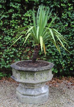 SANDSTONE OCTAGONAL GOTHIC-PATTERN CENTREPIECE PLANTER