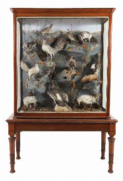 LARGE VICTORIAN TAXIDERMY BIRD DIORAMA