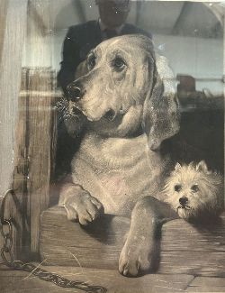 19TH-CENTURY STEEL ENGRAVING