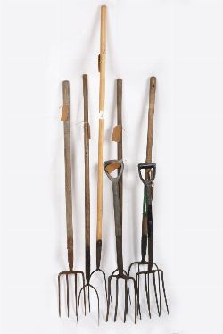 COLLECTION OF PITCHFORKS