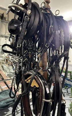 COMPLETE SET OF HARNESS