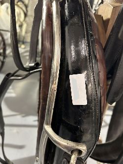 COMPLETE SET OF HARNESS