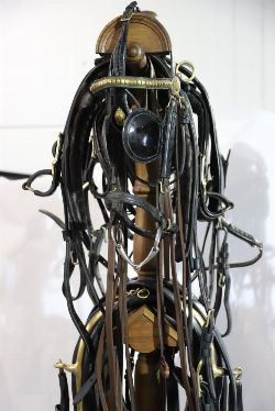 COMPLETE SET OF HARNESS