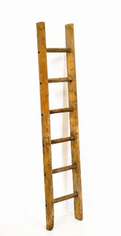 ASH ORCHARD LADDER