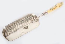 SILVER FISH SLICE 