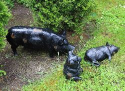 CAST IRON FAMILY OF PIGS