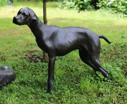 BRONZE GARDEN SCULPTURE - ATTENTIVE GUN DOG