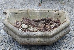 18TH-CENTURY CARVED STONE FOUNTAIN BASIN