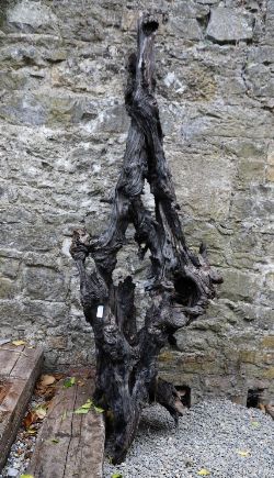 IRISH BOG OAK GARDEN SCULPTURE