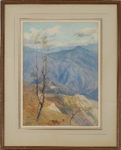 MARY GEORGINA BARTON SWA (1861 - 1949)