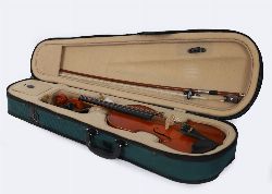 PALATINO VIOLIN IN CASE