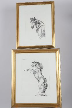 SIOBHAN BULFIN (B. 1969), PAIR OF EQUINE CHARCOAL STUDIES