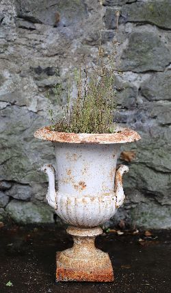 19TH-CENTURY CAST IRON URN