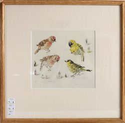 M. E. PENROSE (20TH CENTURY), REDPOLL AND SISKIN