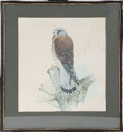 RICHARD WARD, FALCON PRINT