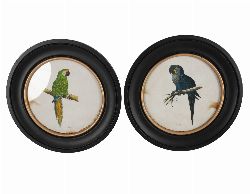 PAIR OF FRAMED ORNITHOLOGICAL PRINTS